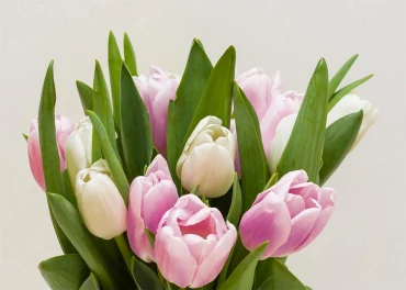 Quelles fleurs offrir pour la fête des grands-mères ?